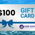 $100 Gift Card