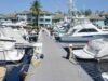Marina Dock Veterans: Why They Trust AERÉ